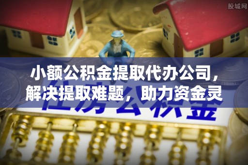 漠河小额公积金提取代办公司，解决提取难题，助力资金灵活使用
