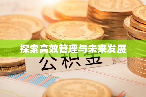漠河探索高效管理与未来发展