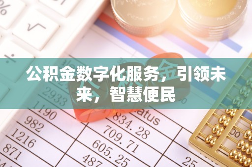 漠河公积金数字化服务，引领未来，智慧便民
