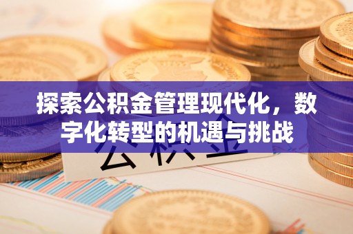 漠河探索公积金管理现代化，数字化转型的机遇与挑战