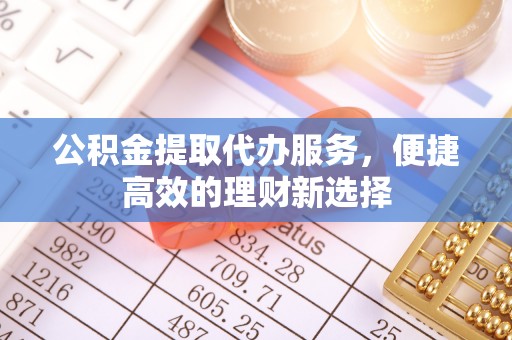漠河公积金提取代办服务，便捷高效的理财新选择