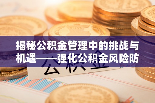漠河揭秘公积金管理中的挑战与机遇——强化公积金风险防控的多维策略