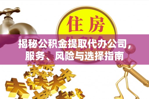 漠河揭秘公积金提取代办公司，服务、风险与选择指南