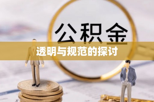 漠河透明与规范的探讨