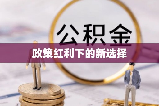 漠河政策红利下的新选择