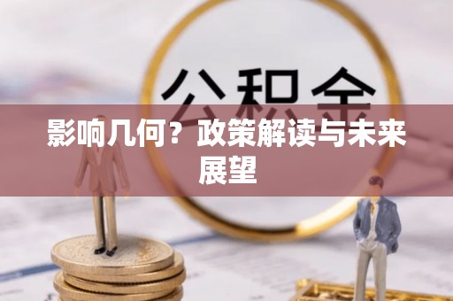 漠河影响几何？政策解读与未来展望