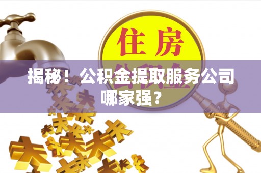 漠河揭秘！公积金提取服务公司哪家强？