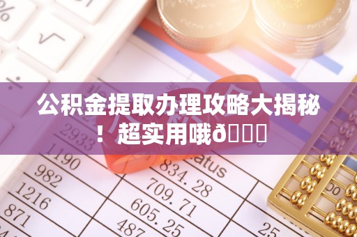 漠河公积金提取办理攻略大揭秘！超实用哦😉