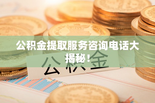 漠河公积金提取服务咨询电话大揭秘！