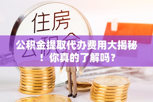 漠河公积金提取代办费用大揭秘！你真的了解吗？