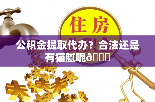 漠河公积金提取代办？合法还是有猫腻呢😏