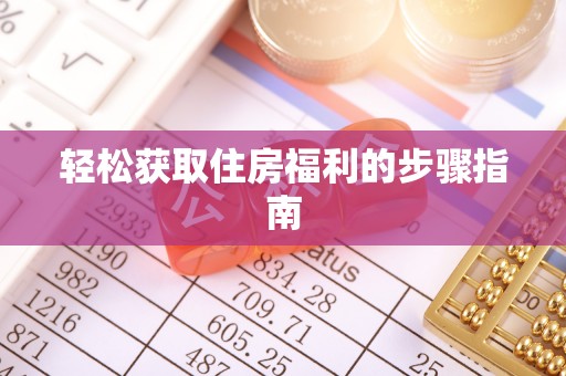漠河轻松获取住房福利的步骤指南