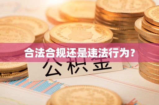 漠河合法合规还是违法行为？