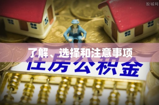 漠河了解、选择和注意事项