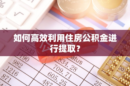 漠河如何高效利用住房公积金进行提取？