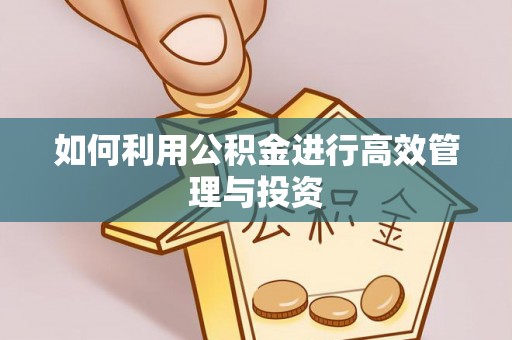 漠河如何利用公积金进行高效管理与投资