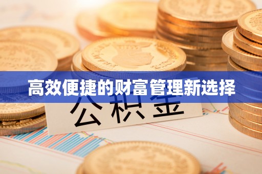 漠河高效便捷的财富管理新选择