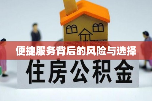 漠河便捷服务背后的风险与选择
