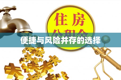 漠河便捷与风险并存的选择