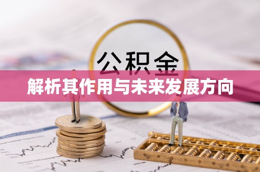 漠河解析其作用与未来发展方向