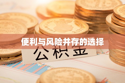 漠河便利与风险并存的选择