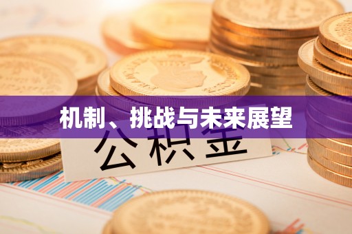 漠河机制、挑战与未来展望
