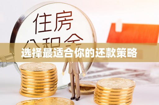 漠河选择最适合你的还款策略