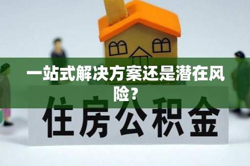 漠河一站式解决方案还是潜在风险？