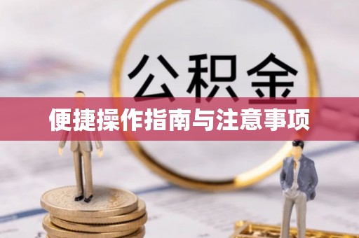 漠河便捷操作指南与注意事项