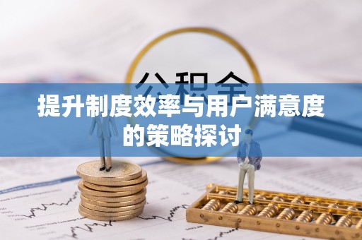 漠河提升制度效率与用户满意度的策略探讨