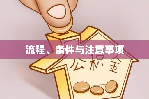 漠河流程、条件与注意事项